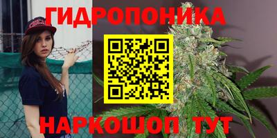 спиды Малгобек