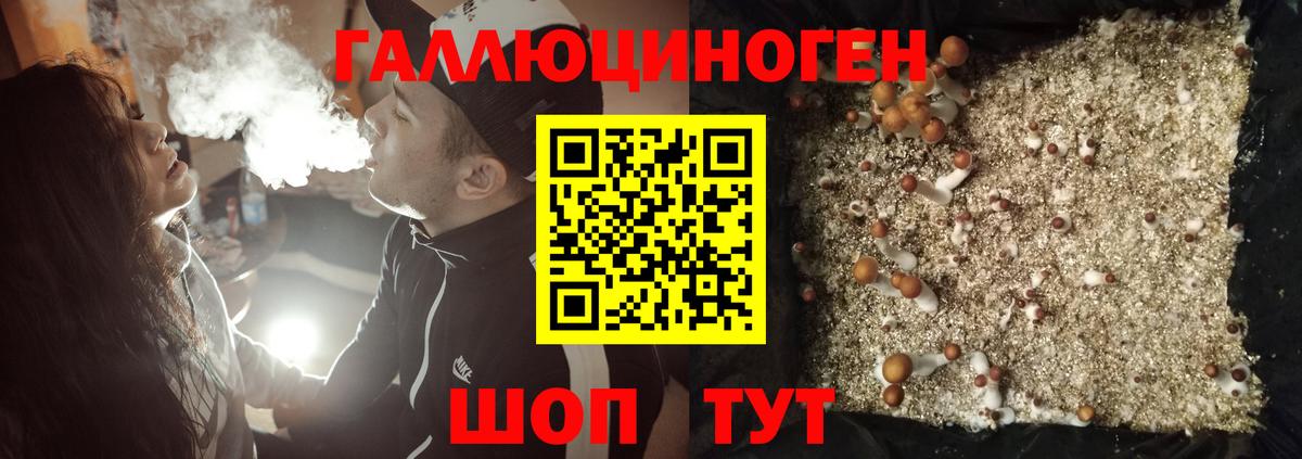 закладка  Галлюциногенные грибы GOLDEN TEACHER  Среднеуральск  Вход с VPN  Галлюциногенные грибы Cubensis 